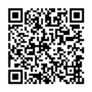 从家族的至高宝典上又悟出一门特别厉害的功法二维码生成