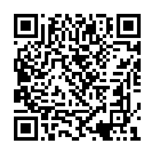 他的对手秦方已经在他完全没有预料到的情况下二维码生成