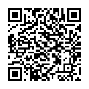回忆着整支伏羲舰队的信息传输模式和数据交互协议二维码生成