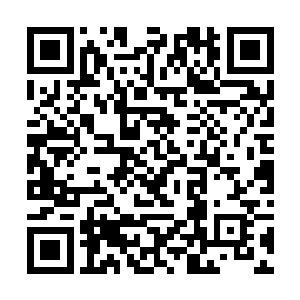 将里世界未尽的斗争延续到主世界……但我弄巧成拙二维码生成
