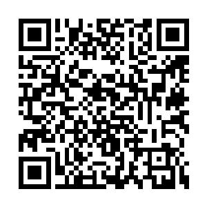 我正在推出自己一系列的时装和他们公司在合作二维码生成