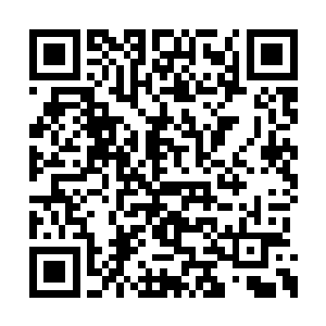 甚至是连学校里跟他们讲的老师都没见过的东东二维码生成