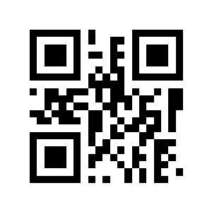 type=page二维码生成