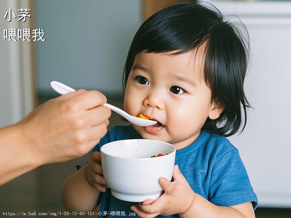 小茅喂喂我搞笑图片