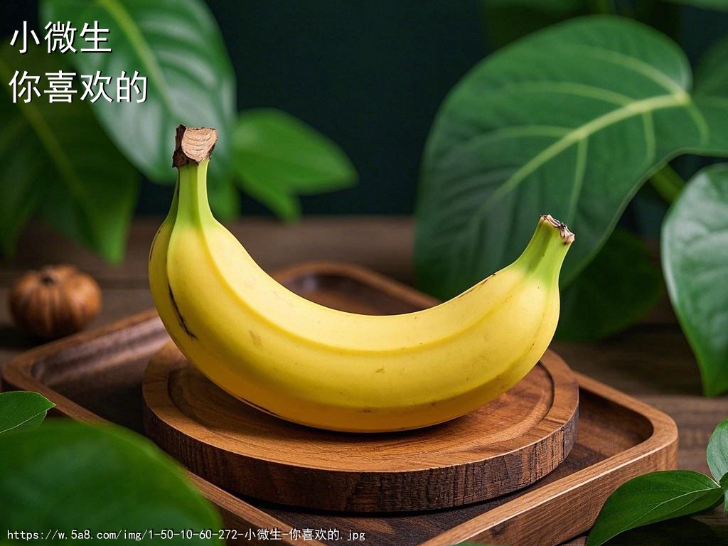 小微生你喜欢的搞笑图片