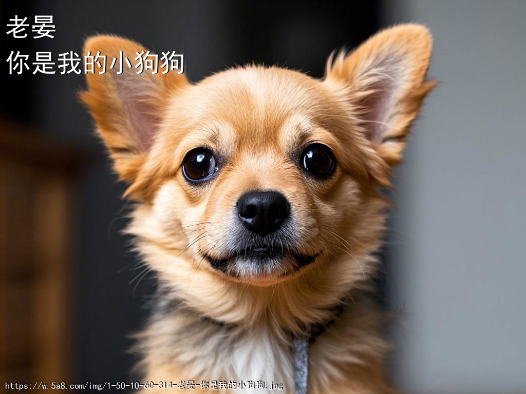 老晏你是我的小狗狗搞笑图片