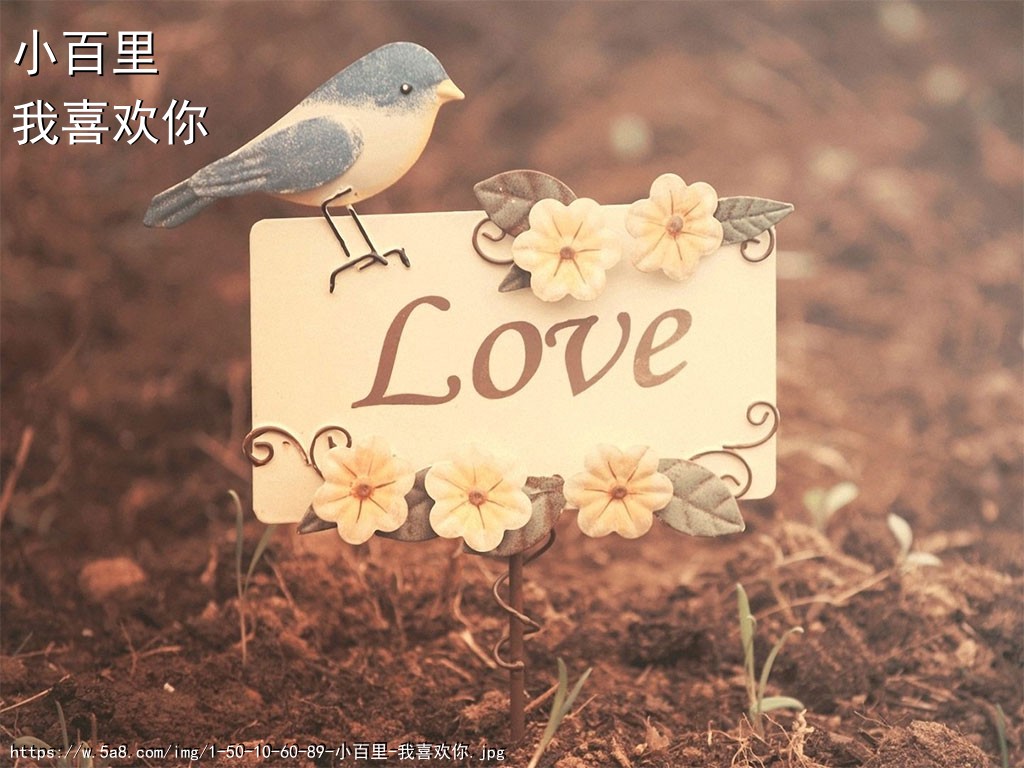 小百里我喜欢你搞笑图片