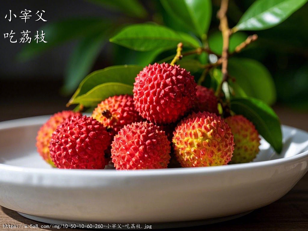 小宰父吃荔枝搞笑图片