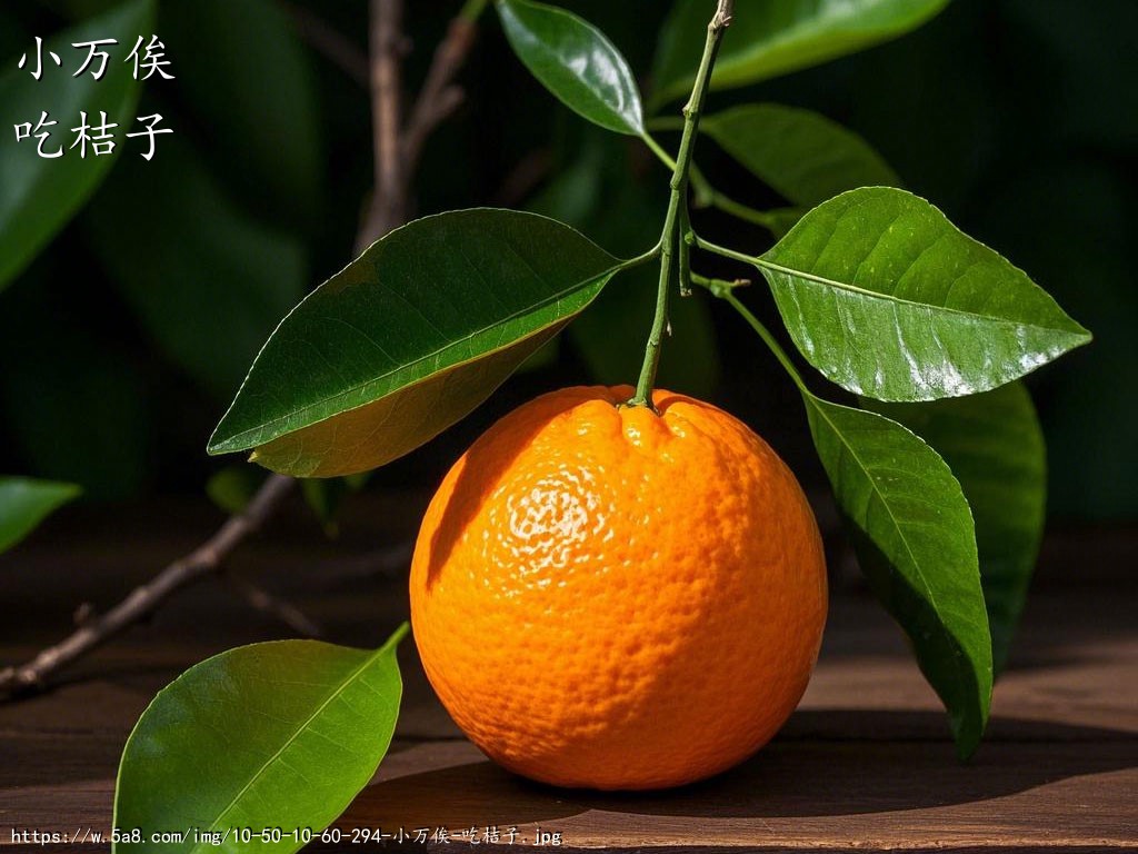 小万俟吃桔子搞笑图片