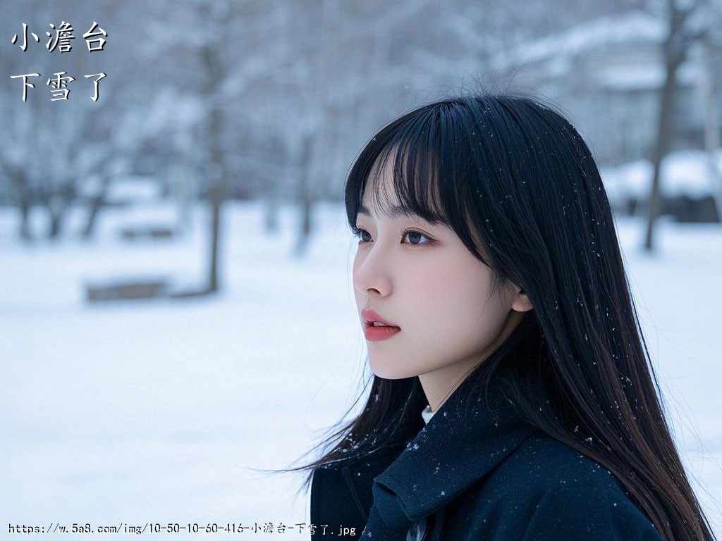 小澹台下雪了搞笑图片