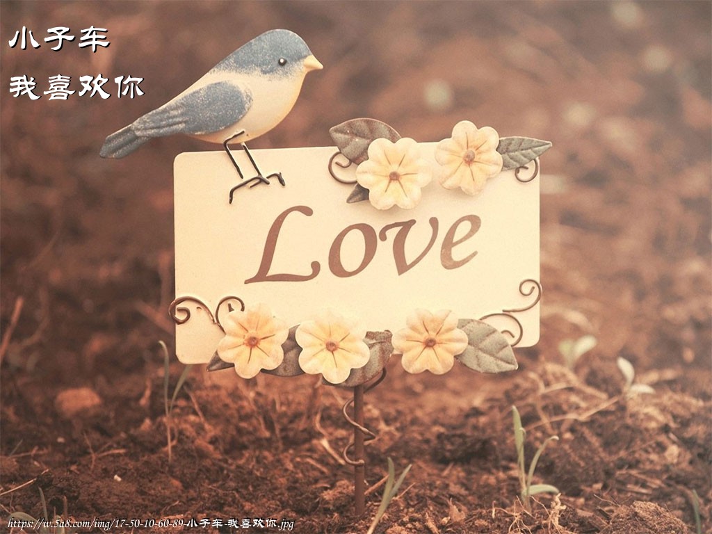 小子车我喜欢你搞笑图片