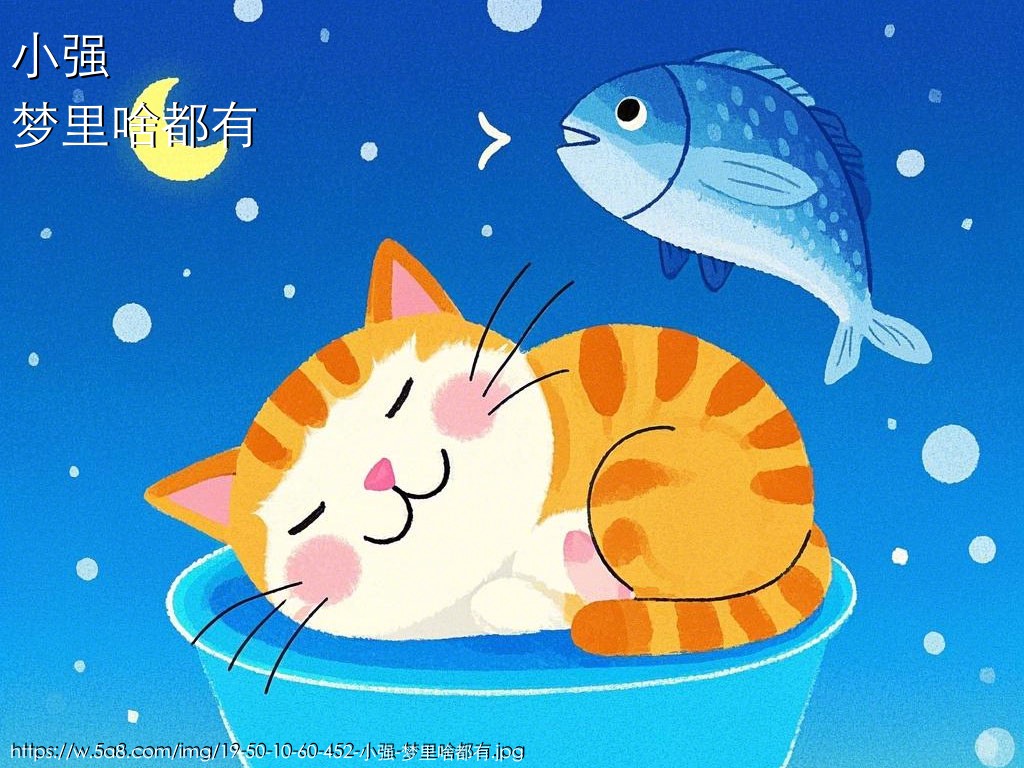 小强梦里啥都有搞笑图片