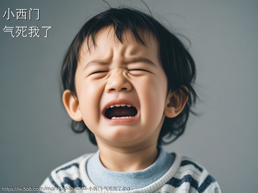 小西门气死我了搞笑图片