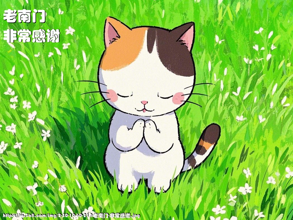 老南门非常感谢搞笑图片