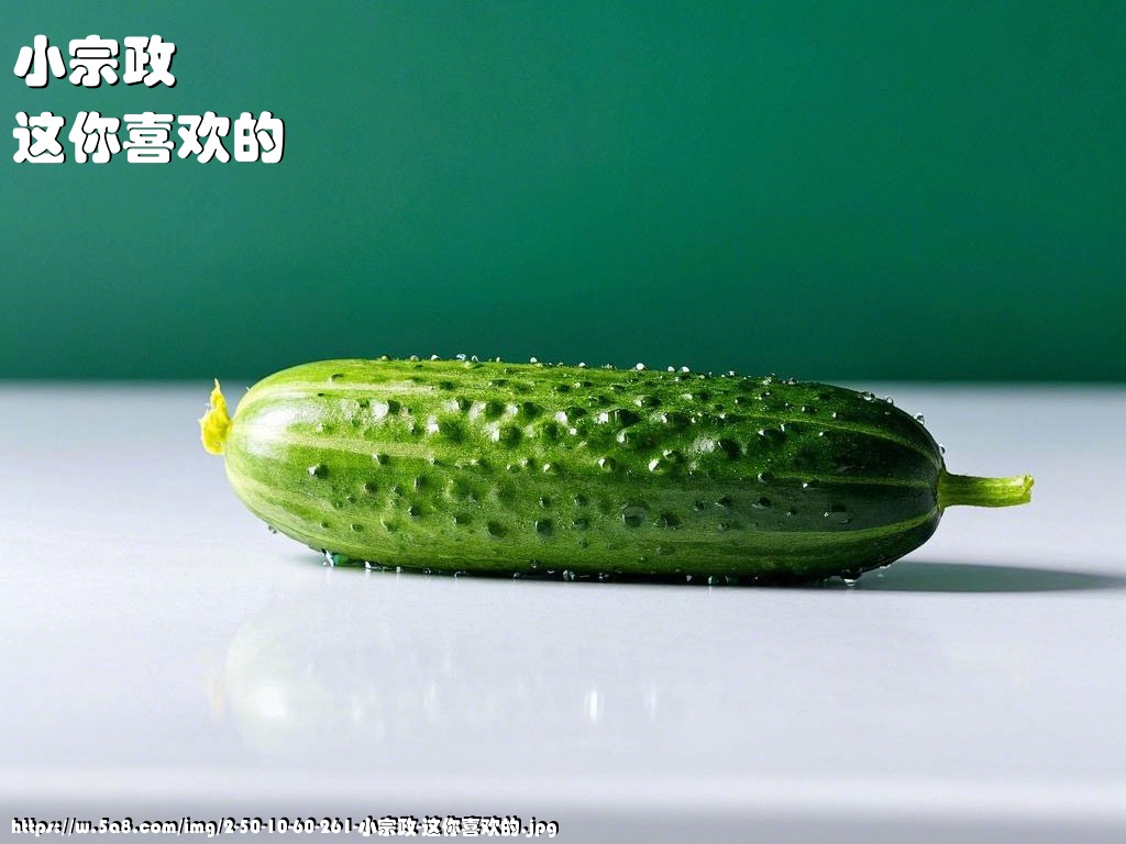 小宗政这你喜欢的搞笑图片