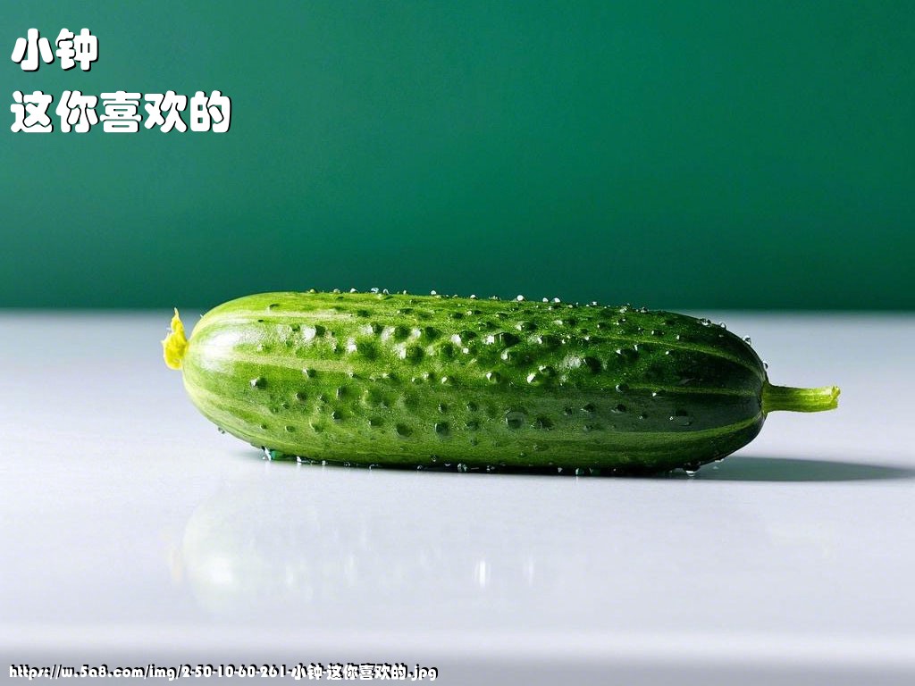 小钟这你喜欢的搞笑图片