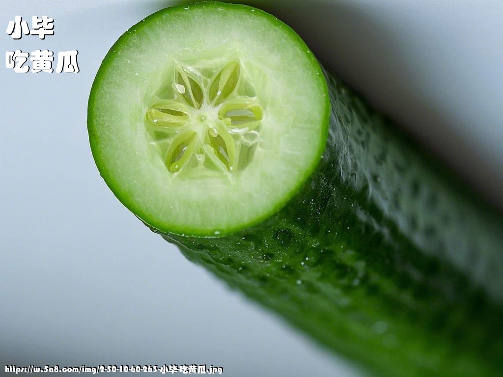 小毕吃黄瓜搞笑图片