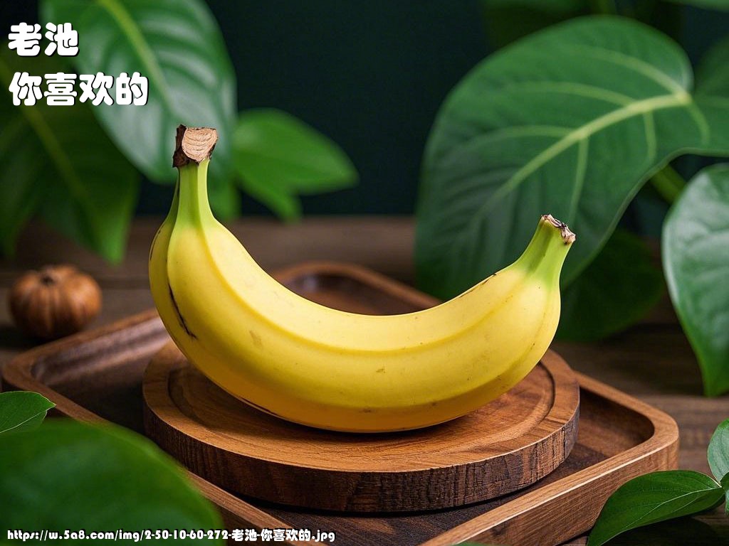 老池你喜欢的搞笑图片