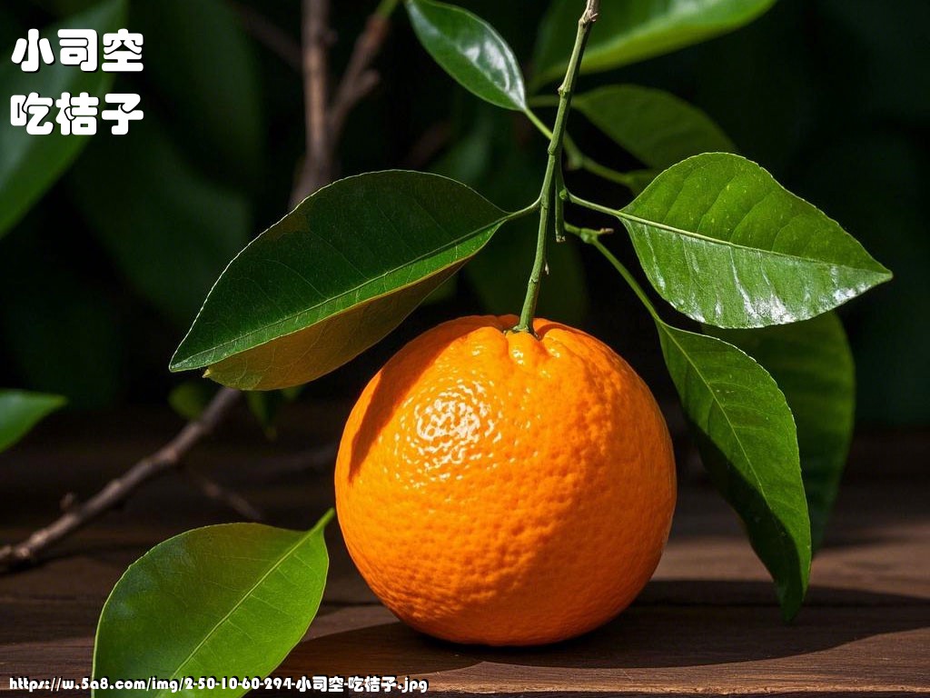 小司空吃桔子搞笑图片