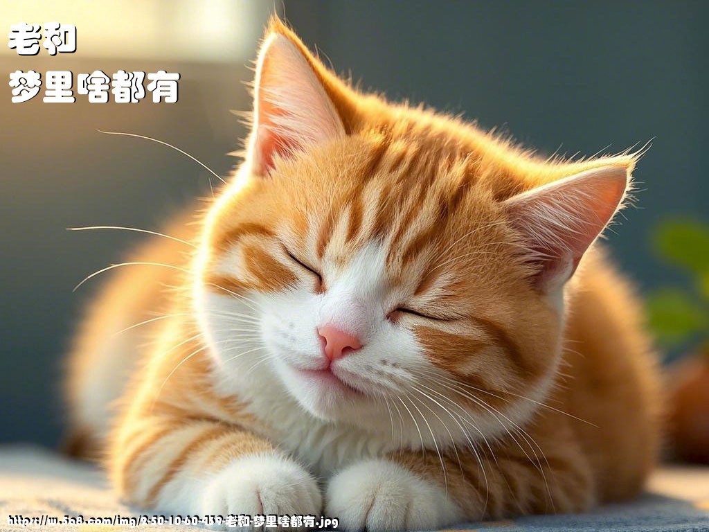 老和梦里啥都有搞笑图片