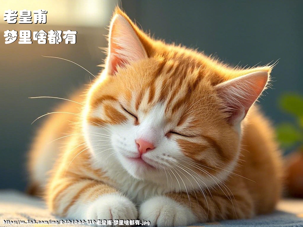 老皇甫梦里啥都有搞笑图片