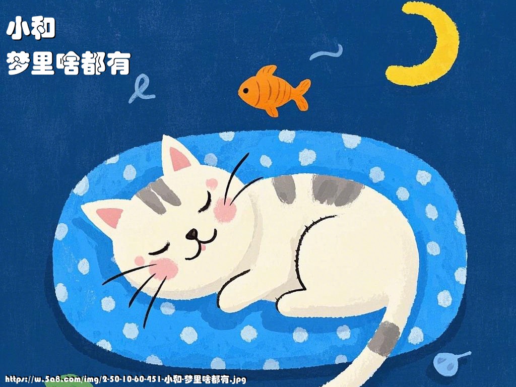小和梦里啥都有搞笑图片