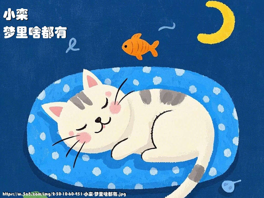 小栾梦里啥都有搞笑图片