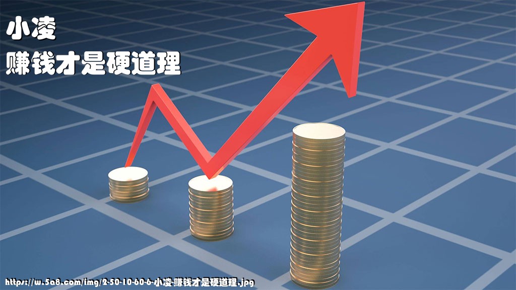 小凌赚钱才是硬道理搞笑图片