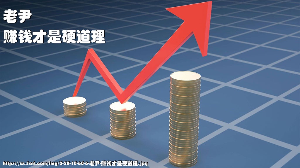 老尹赚钱才是硬道理搞笑图片
