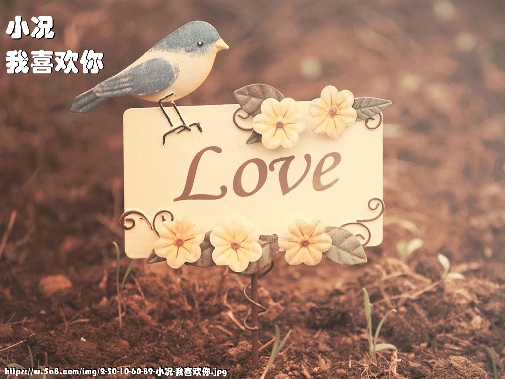 小况我喜欢你搞笑图片