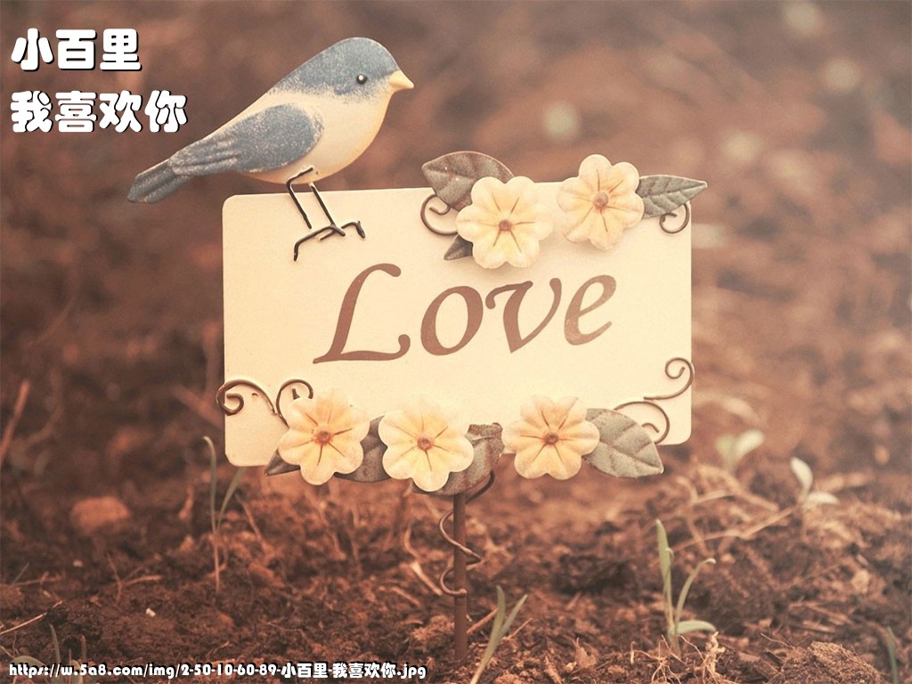 小百里我喜欢你搞笑图片