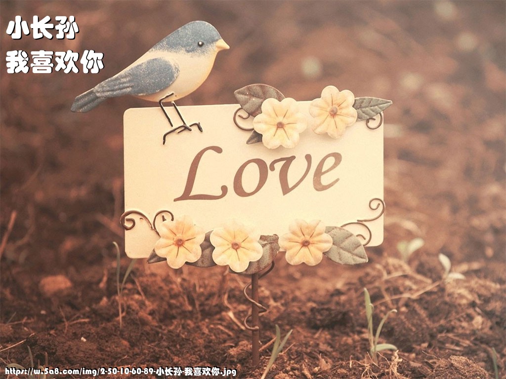 小长孙我喜欢你搞笑图片