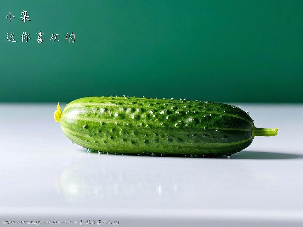 小栾这你喜欢的搞笑图片