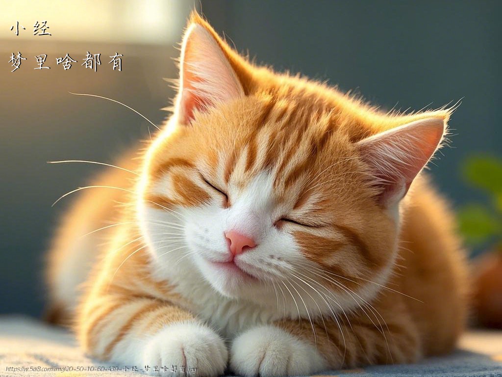 小经梦里啥都有搞笑图片