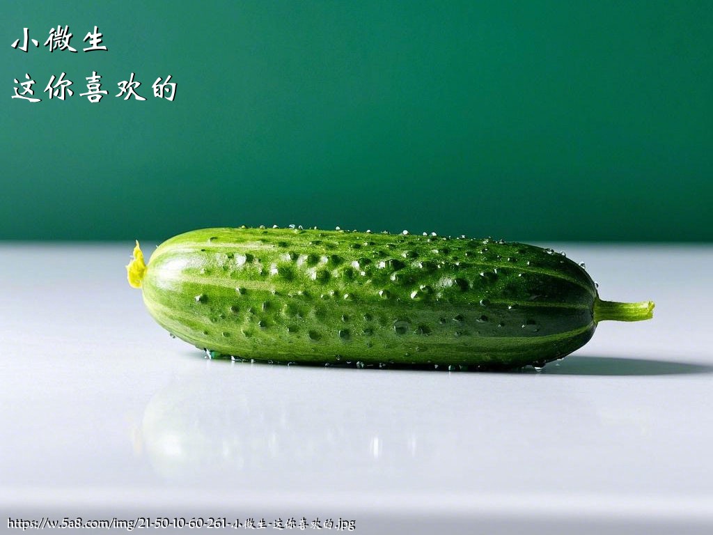 小微生这你喜欢的搞笑图片
