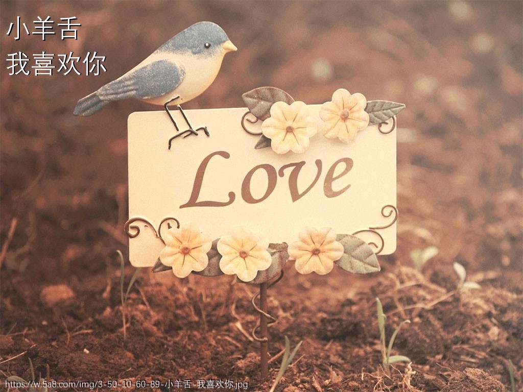 小羊舌我喜欢你搞笑图片