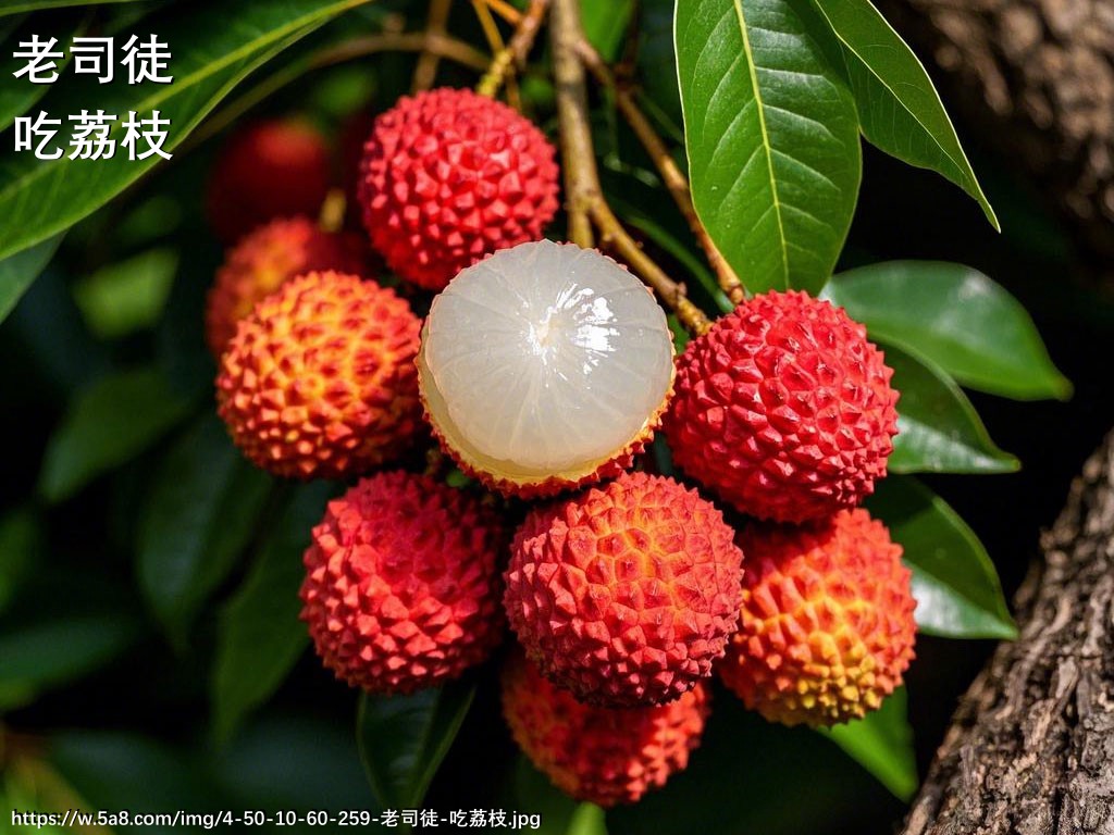 老司徒吃荔枝搞笑图片