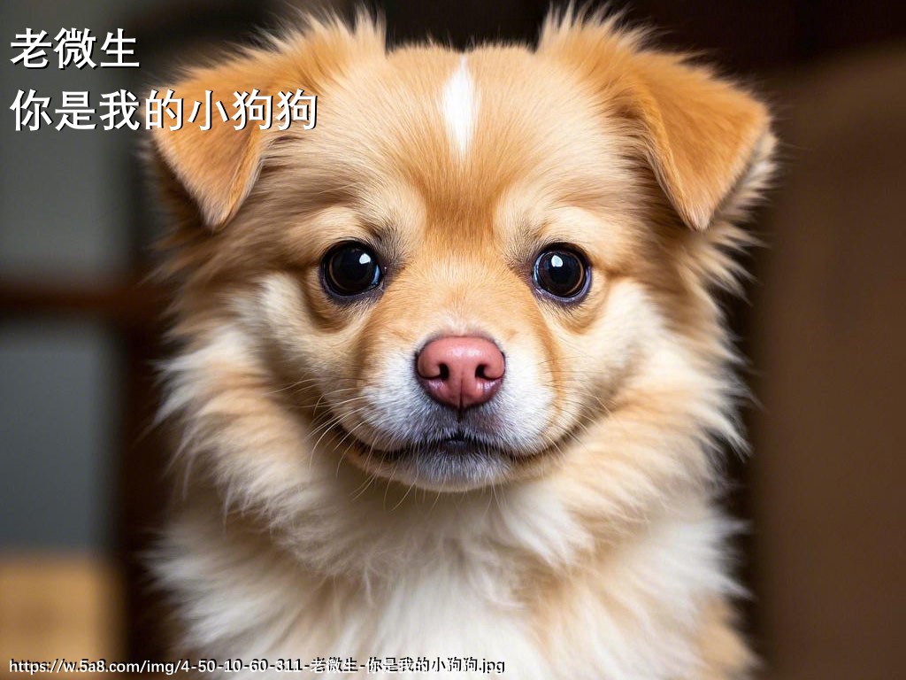 老微生你是我的小狗狗搞笑图片