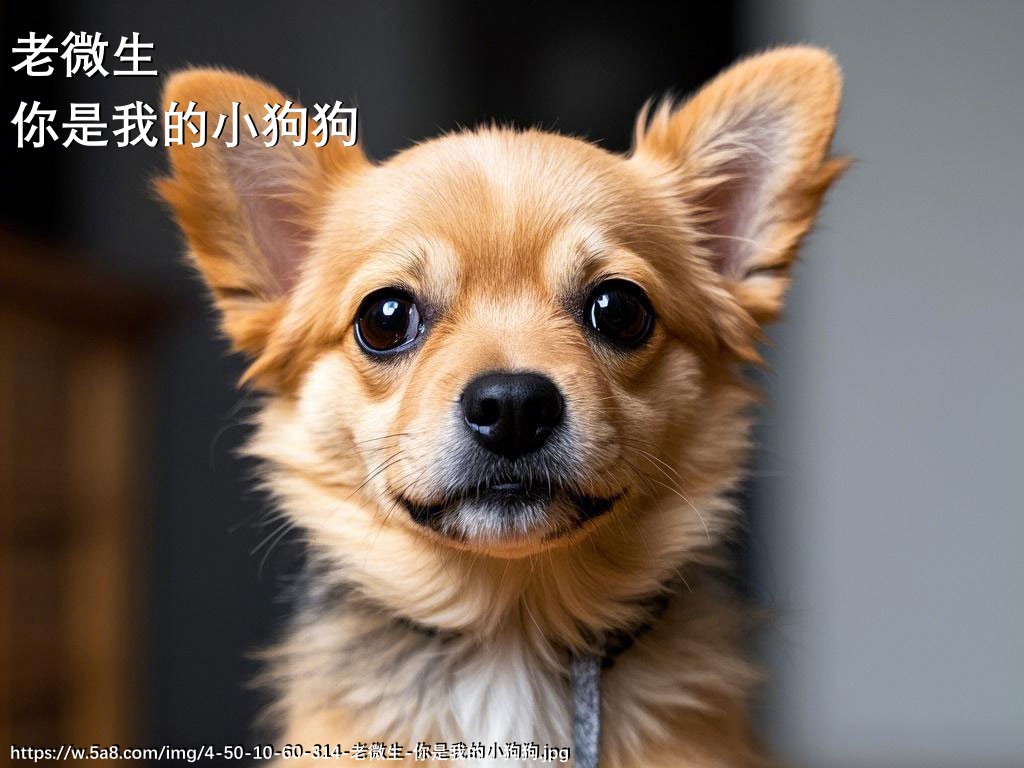老微生你是我的小狗狗搞笑图片