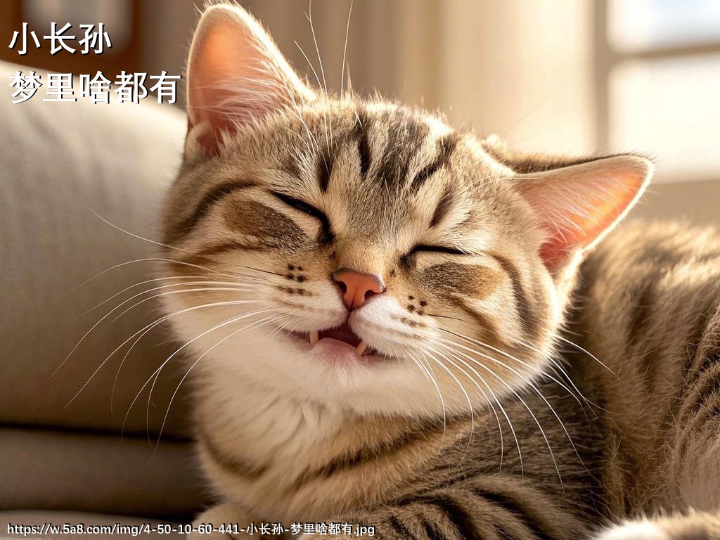 小长孙梦里啥都有搞笑图片