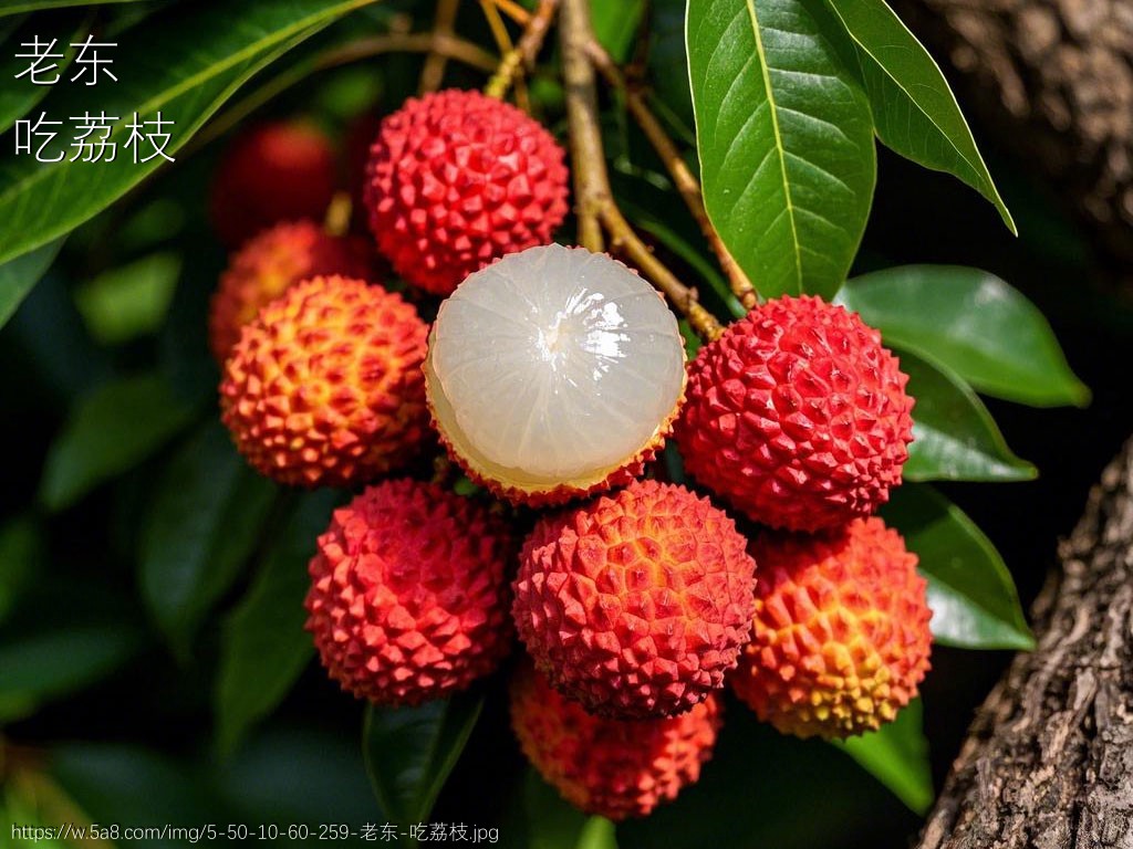 老东吃荔枝搞笑图片