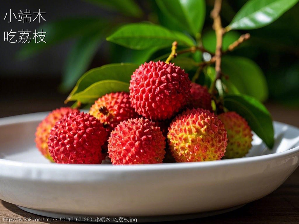 小端木吃荔枝搞笑图片