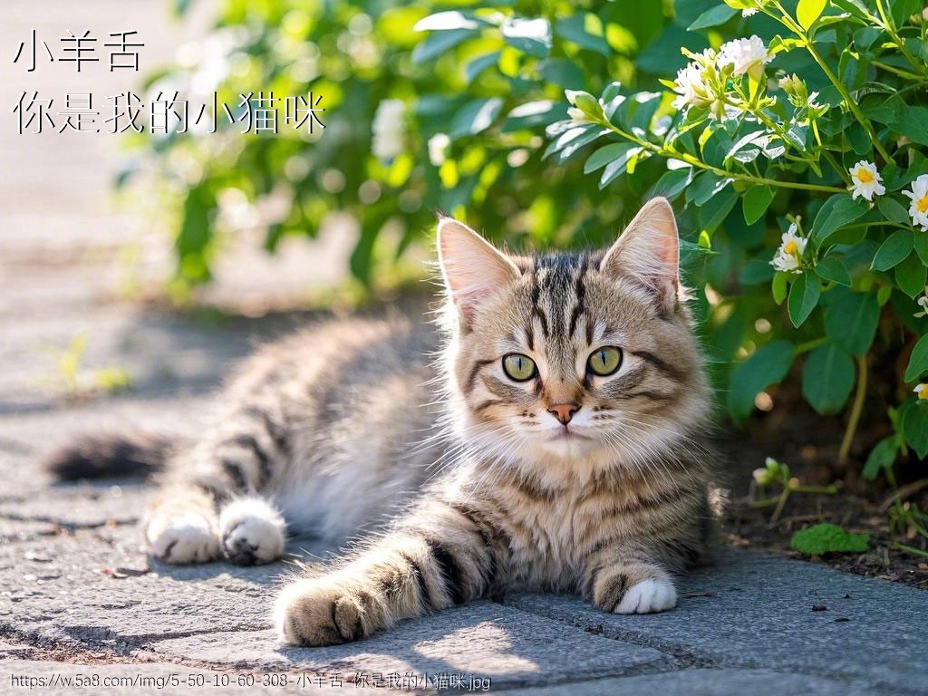 小羊舌你是我的小猫咪搞笑图片
