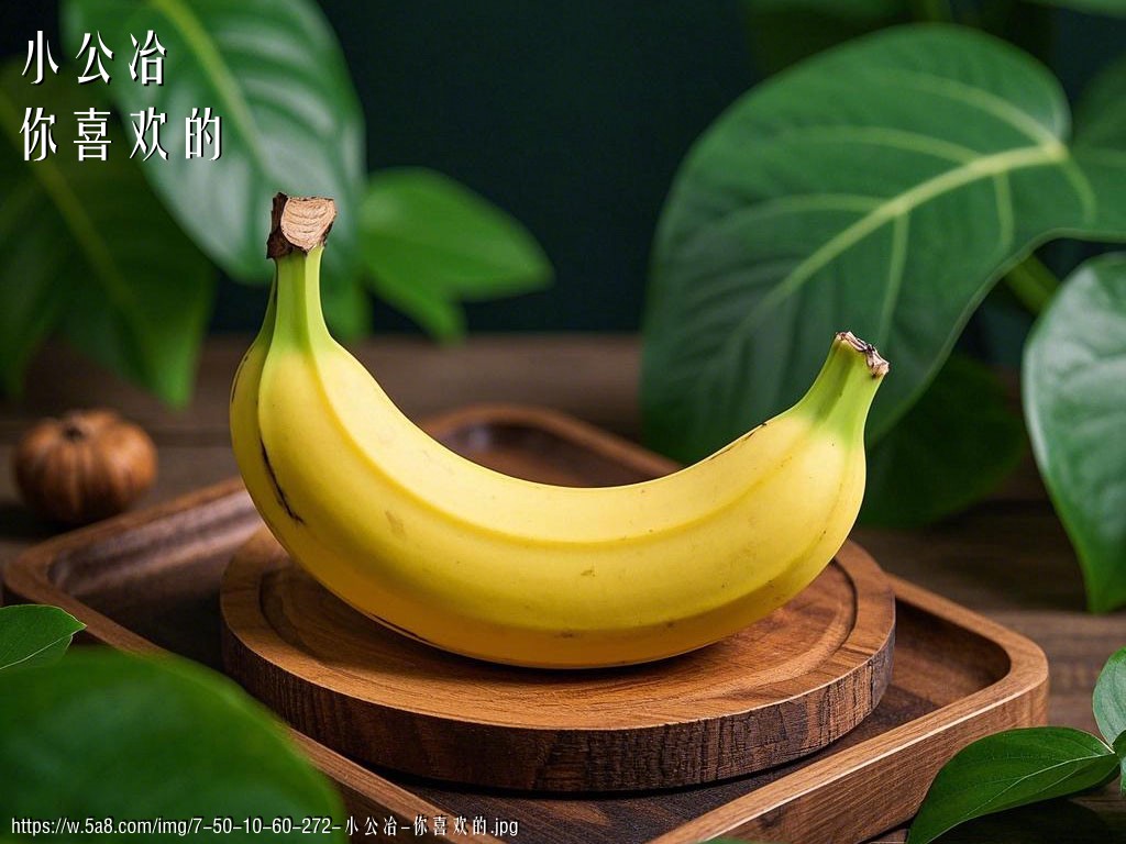 小公冶你喜欢的搞笑图片