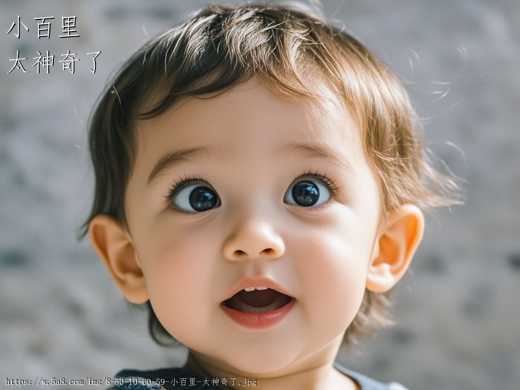 小百里太神奇了搞笑图片